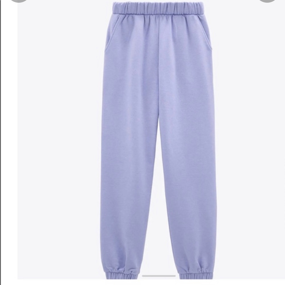 Zara purple sweat pants
